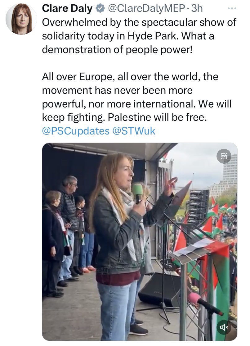To be clear, @ClareDalyMEP is Assadist/Khomeiniite/chavista filth & has long run interference on behalf of some of the world’s worst regimes as they massacred defenseless civilians. That the #StopArmingIsrael rally had her as a featured speaker tells me a lot about the organizers
