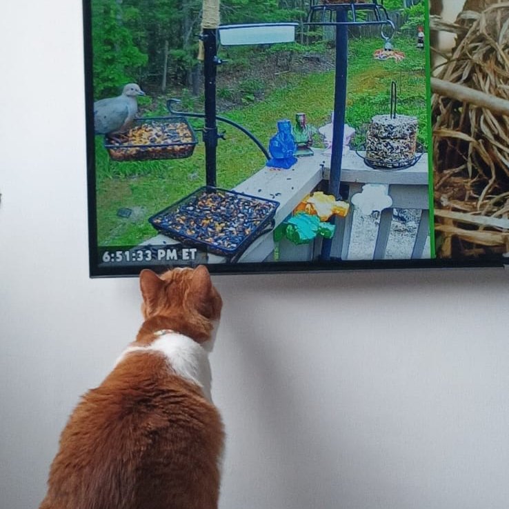 Rich W ⚛️ Random Physicist tweet media