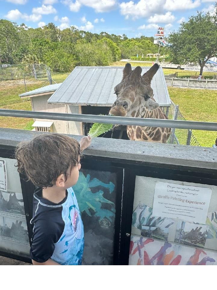 The Giraffe feeding was an enchanting highlight at Lions Country 🦁 Safari. 🦒❤️🥬 We had an amazingly beautiful day! @LionCountry @VISITFLORIDA @BeInspiredFL @PalmBeachesFL @AventuraRI @FloridianCreat1 @AuthenticFL