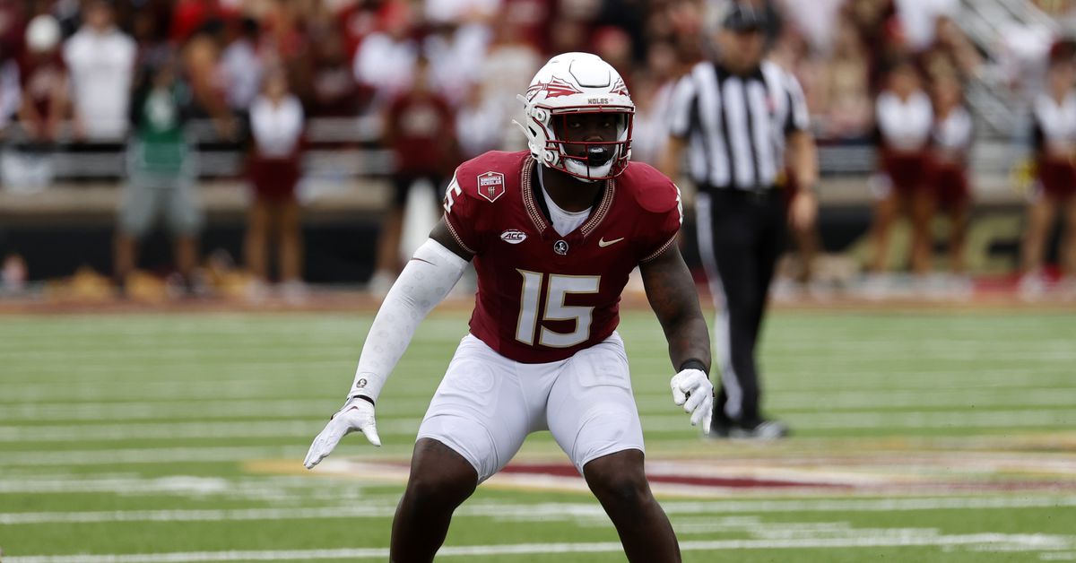 NFL Draft: 49ers select Florida State LB Tatum Bethune with 251st overall pick trib.al/ZXkDOoP