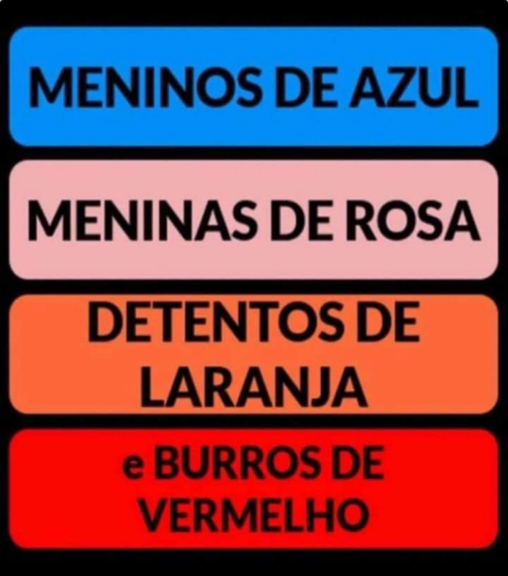 Aurélia Bolsonaro 🇧🇷🇦🇷🇮🇱 #ForaLula 💩👹 (@AureliaFreitas) on Twitter photo 2024-04-27 23:18:10