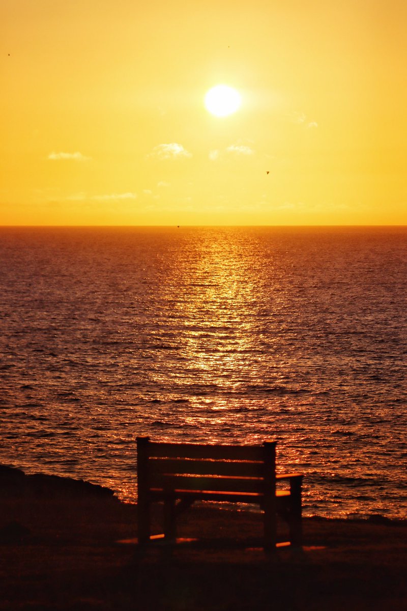 Perfect bench to sit and enjoy our beautiful sunsets here in Bonavista, NL. Tonight’s sunset was beautiful.