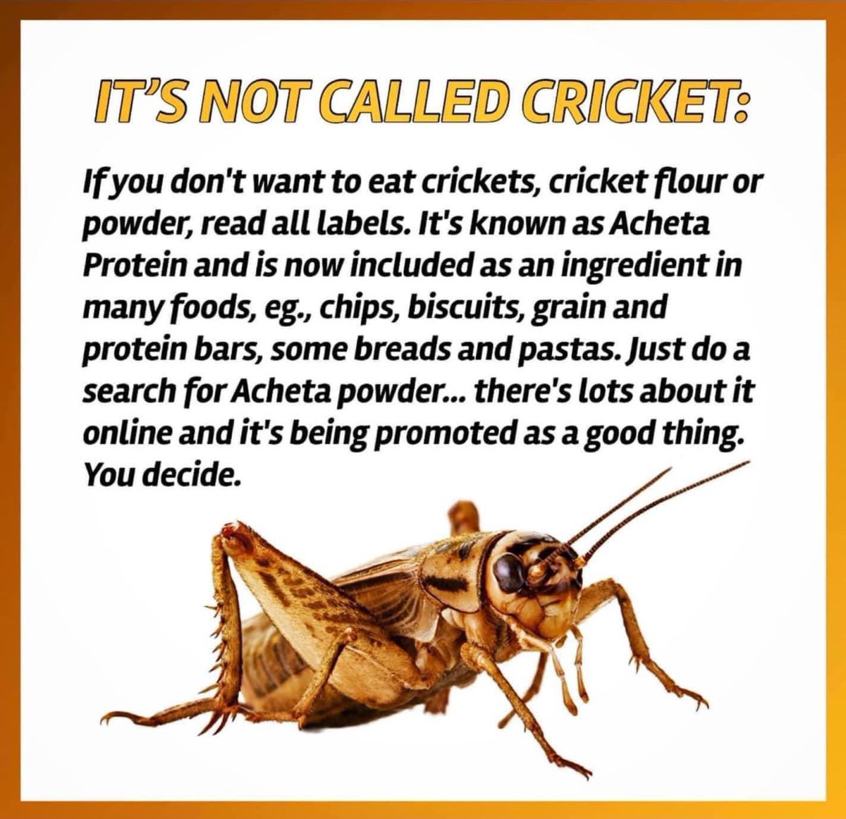Omg!!! I really need to start reading labels!!! 🤦🏻‍♀️ Have you noticed Acheta Protein in any products? I’m sorry but I do not want to eat crickets!! 🤮🤮🤮