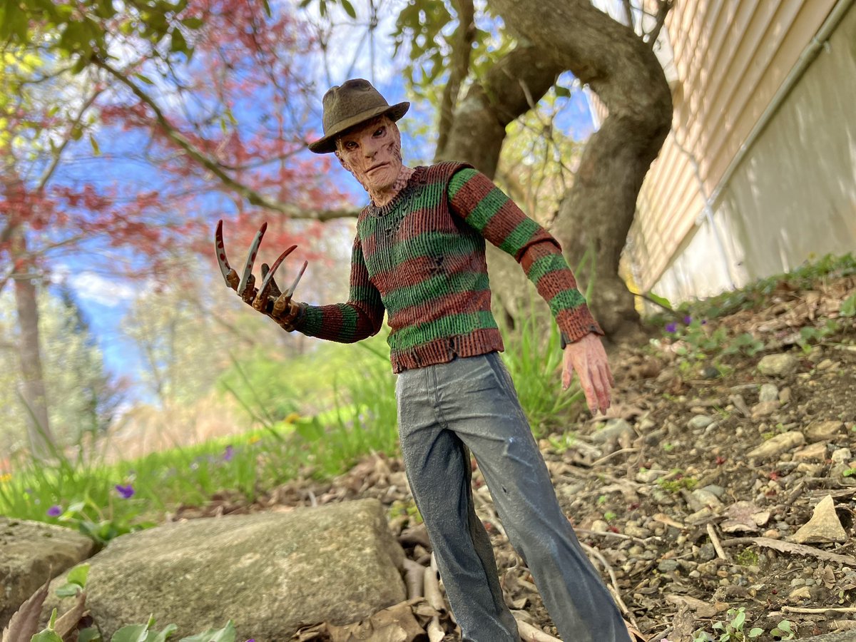 Finally got a figure I’ve wanted for a long time! #anightmareonelmstreet #freddykrueger #neca #necatoys #toyphotography #actionfigures