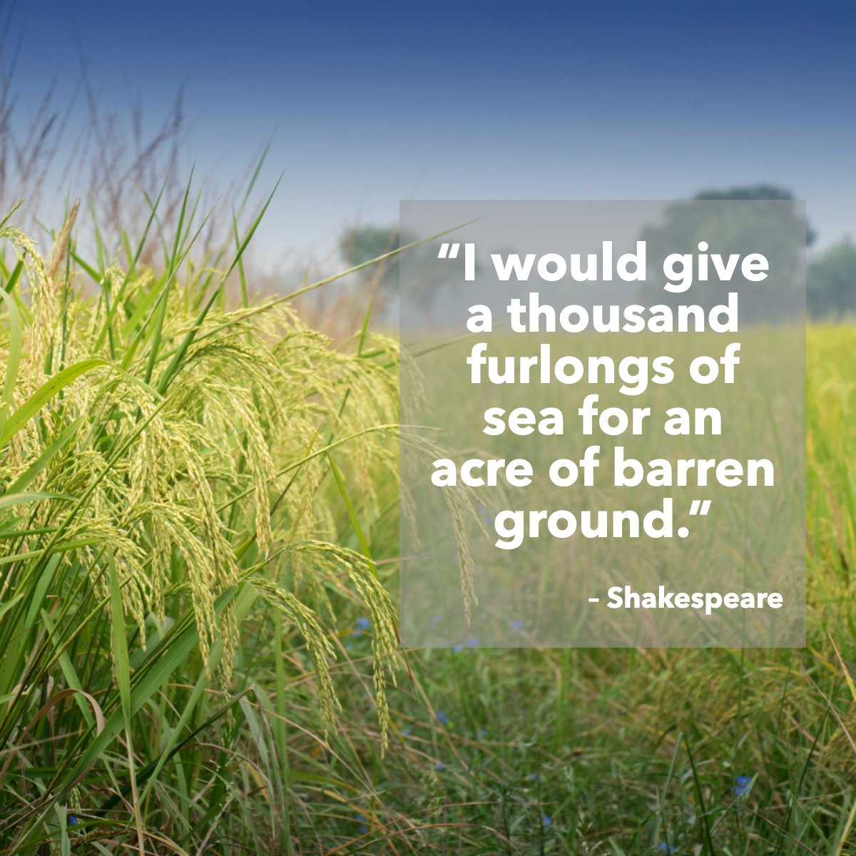 'I would give a thousand furlongs of sea for an acre of barren ground.' 
― William Shakespeare 📖

 #quote #quoteoftheday #land #realestate #property #propertyinvestment #invest
 #boyntonbeachrealestate #southfloridarealtor #palmbeachrealtor #marketreport