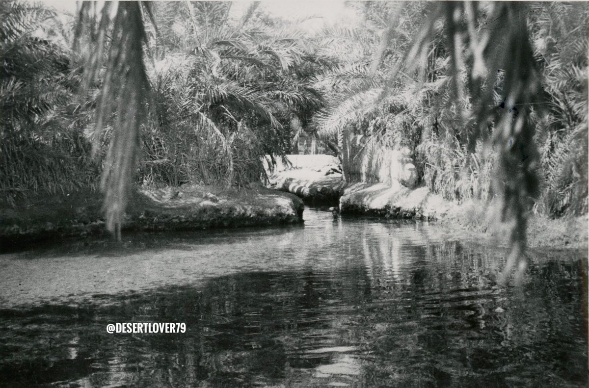 صورة: #عين_الخدود في مدينة #الهفوف في محافظة #الاحساء 1948 م

من <a href="/desertlover79/">محمد ناصر الخليفة</a>