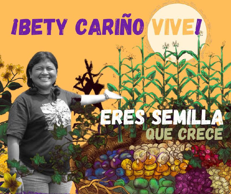 #BetyVive 🍃Bety Cariño, eres semilla que crece en los corazones de quienes defienden la vida. ¡Bety Cariño Vive! 🌱