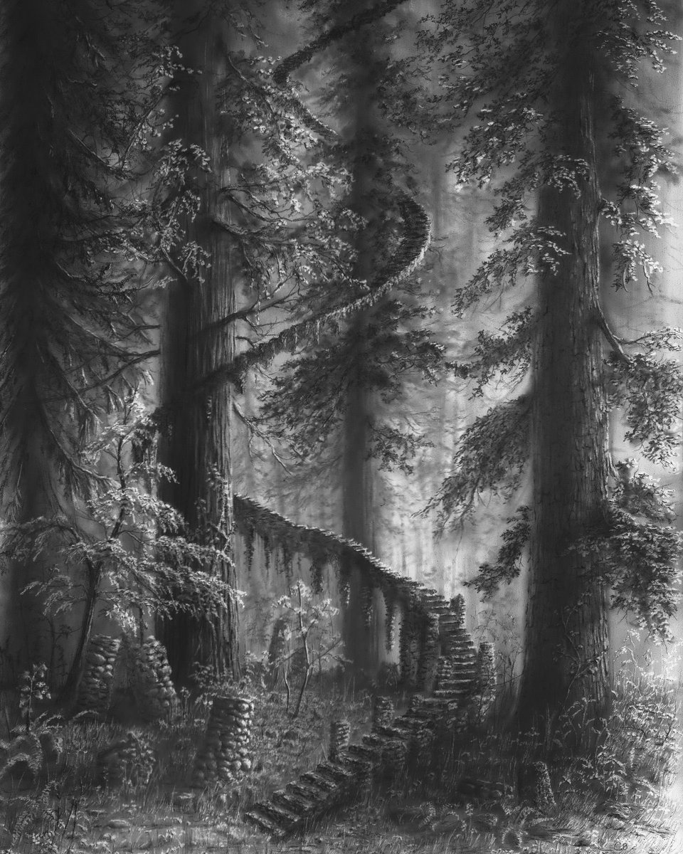 🖤 SUBMISSION SUNDAY 🖤 The Stairs in the Forest (v2), graphite on gessoboard, by @chrisbeckerart