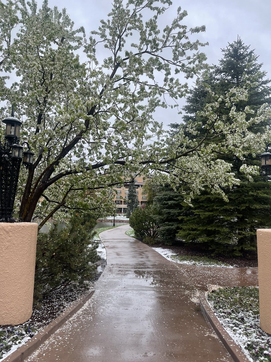 ArianaxHelene's tweet photo. Dear #coloradosprings,

You are absolutely beautiful 😍 https://t.co/QFLJQ0tt0G