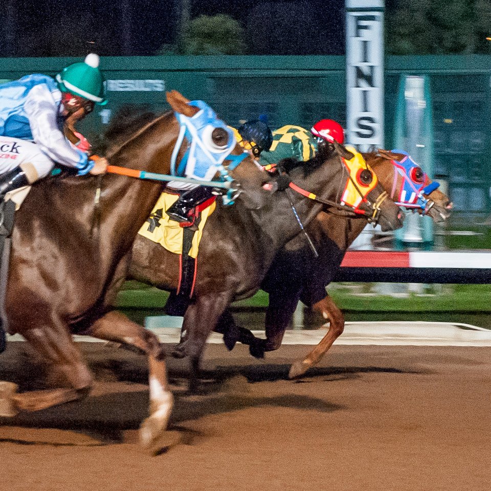 losalracing tweet picture