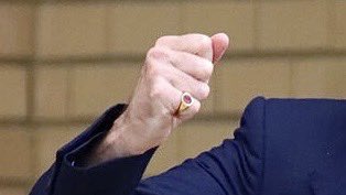 DAVID’S HANDS?! THE PINKY RING?! I’ve lost the ability to function.
