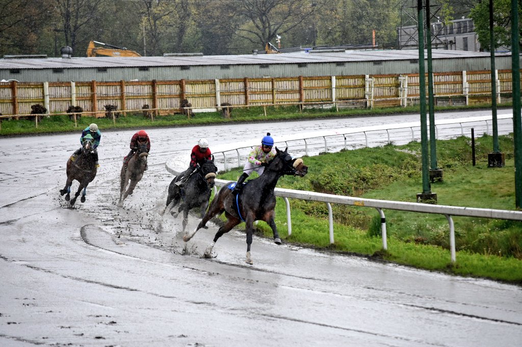 Smiling 'til it's sunny <a href="/hastingsraces/">Hastings Racecourse</a>
