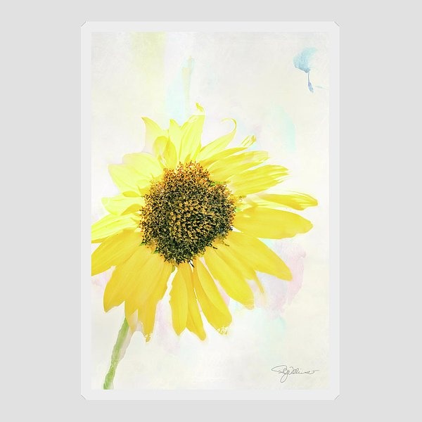 Sunflower Sticker by Pamela Williams GET IT: 3-pamela-williams.pixels.com/featured/10845… #dailysticker #stickers #stickerlover #Buyintoart #sharepamsart #art #sunflower #flower #watercolor #fineartamerica #yellow #blossom #abstract #shopsmall #artonline #aYearForArt