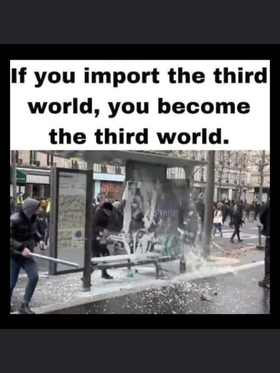 Import the 3rd world, become the 3rd world. High crime and homelessness. This is not the American dream of citizens and immigrants who came here legally.