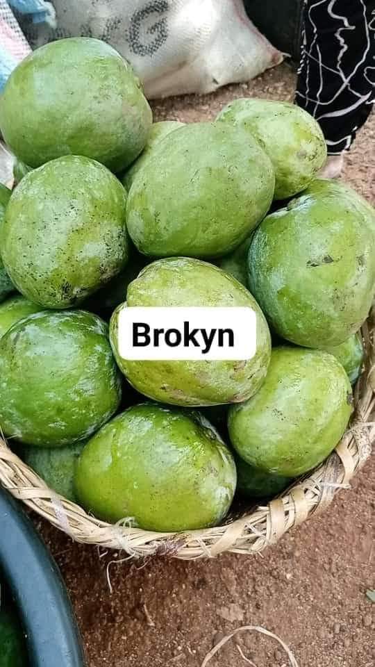 We bring to benue mango, it's mango season.
7pieces for 1k
#nigerianfood
#farmtotable