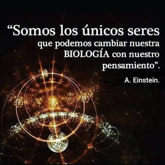 Florecerespirit's tweet image. florecerespiritual.com
🩷🧠😀
#exitosos #exitopersonal #exito #saludable #saludybienestar #saludables #salud #saludmentalyemocional