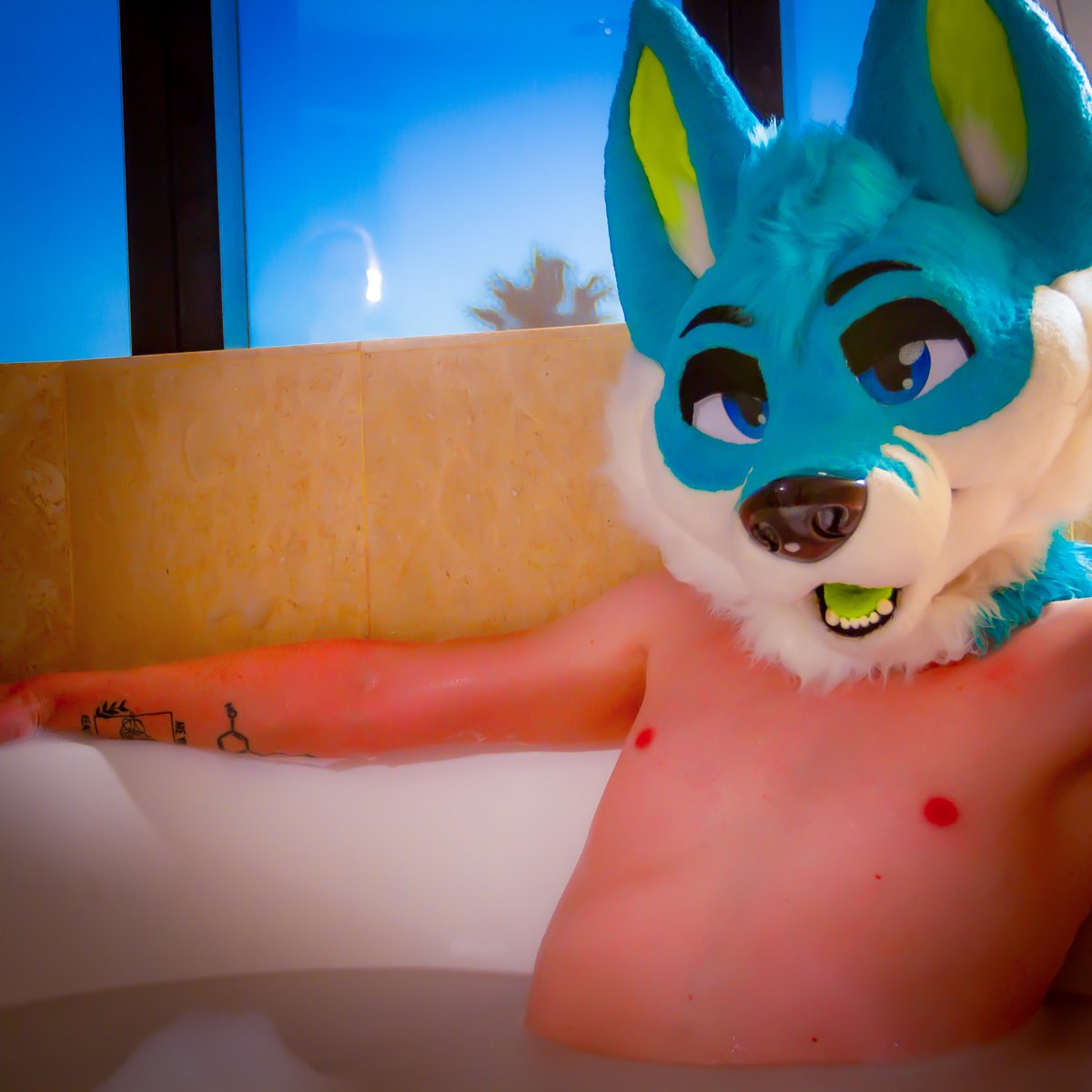 AxionAD's tweet photo. Wanna take a dip? ~

📸- @AdRandzy https://t.co/AXdV06jKkY
