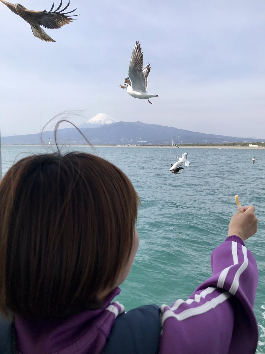 「旅の想い出。  魅惑のパッケージだったので購入した沼津港深海水族館のチョコクラン」|柴田亜美staffのイラスト