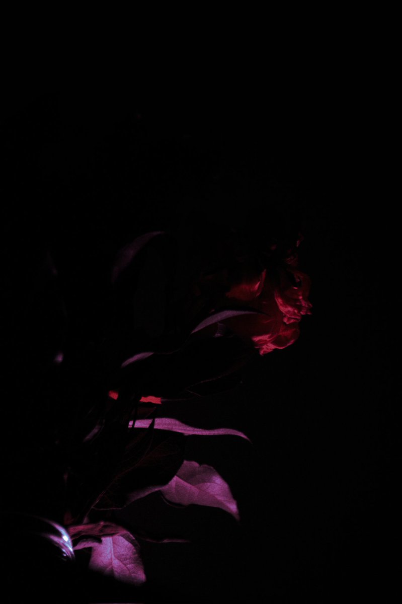 Kopfbude (@idnknwwhim) on Twitter photo 