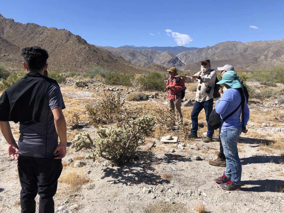 Bree Putman 🐍🦎🏘🔥 tweet media