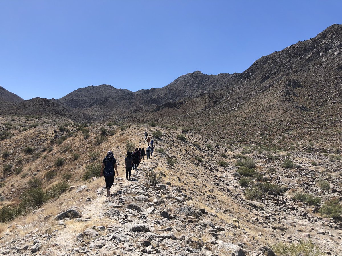 Bree Putman 🐍🦎🏘🔥 tweet media