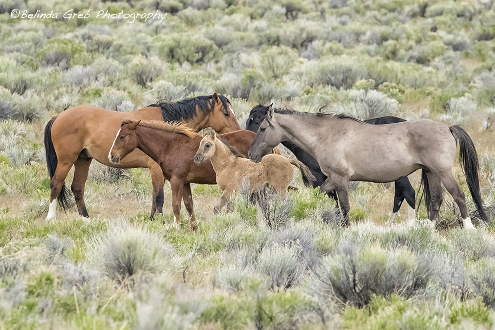 Tightly Knit by Belinda Greb belinda-greb.pixels.com/featured/tight… #photography