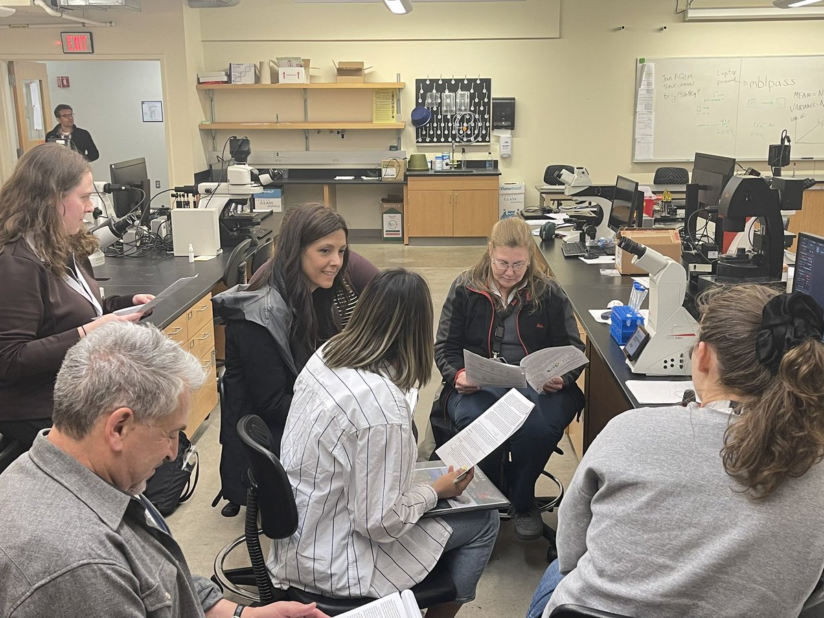 AQLMMBL's tweet image. Fluorescence Proteins and Probes lecture from @AmyPalmerZinc #AQLM2024