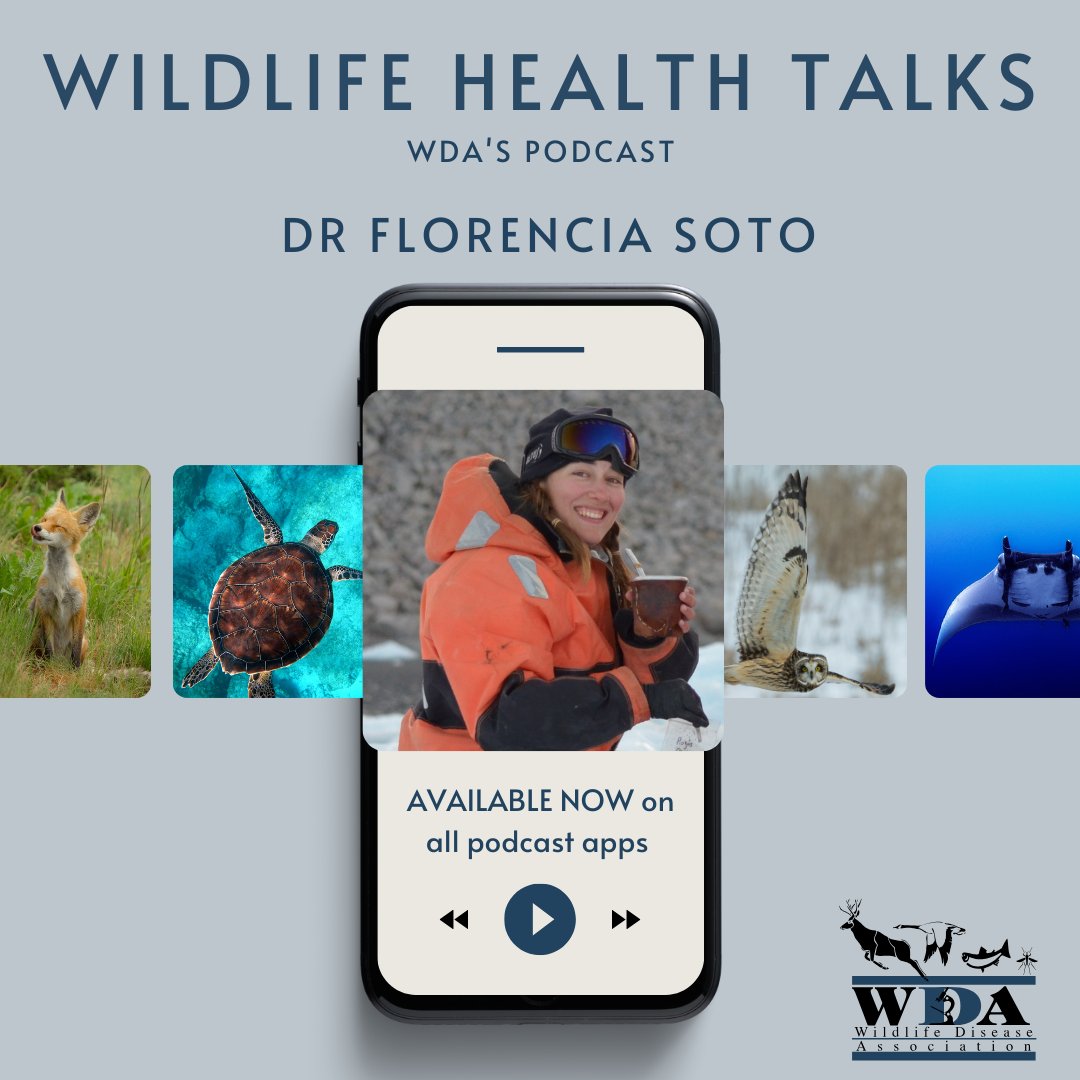 In the latest Wildlife Health Talks, Dr Florencia Soto discusses the relationship between seals and lice, and the impact of HPAI subtype H5 on Antarctic wildlife. Listen on your favourite app or Google Wildlife Health Talks. WDA members, email communications@wildlifedisease.org