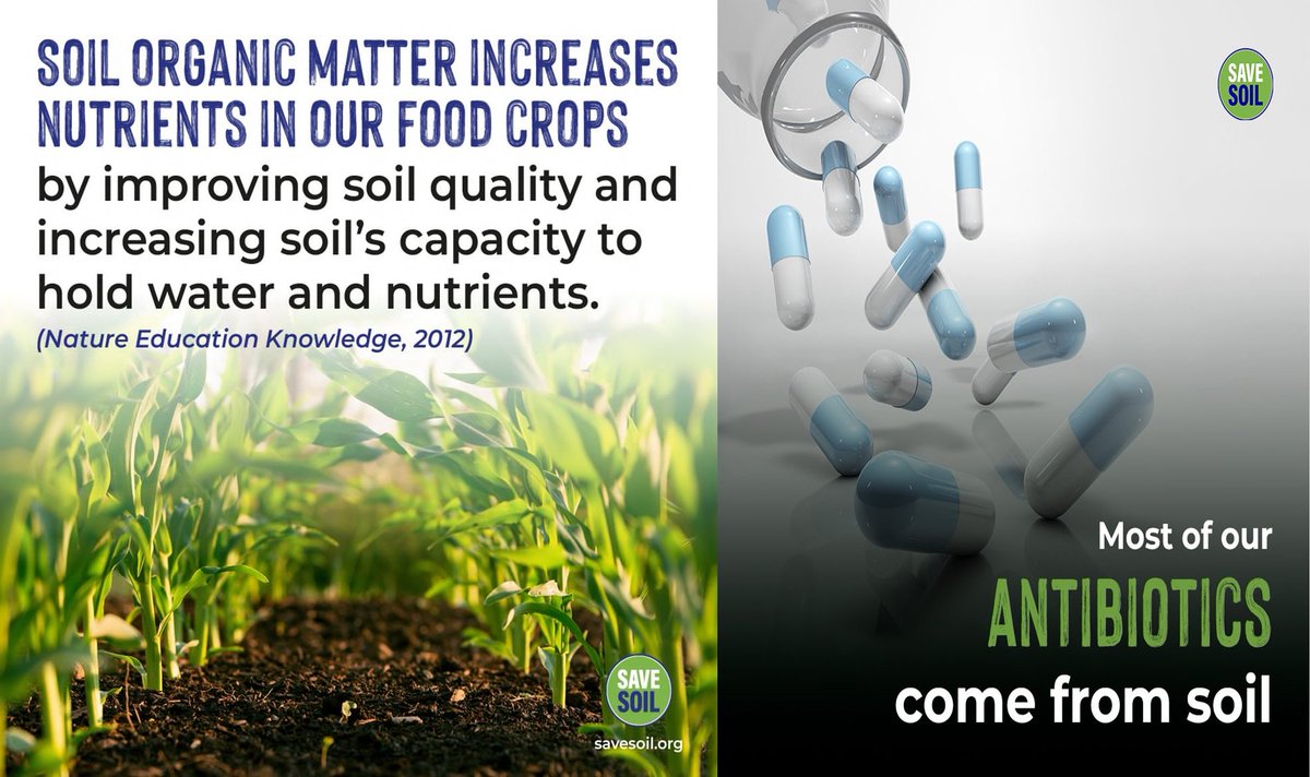 It is likely that by 2050, minerals such as zinc and iron, present in main crops such as wheat, corn, rice and soybean could be reduced by up to 10% and 5% respectively-FAO

🌱Act now.  #PolicyForSoil savesoil.org/write