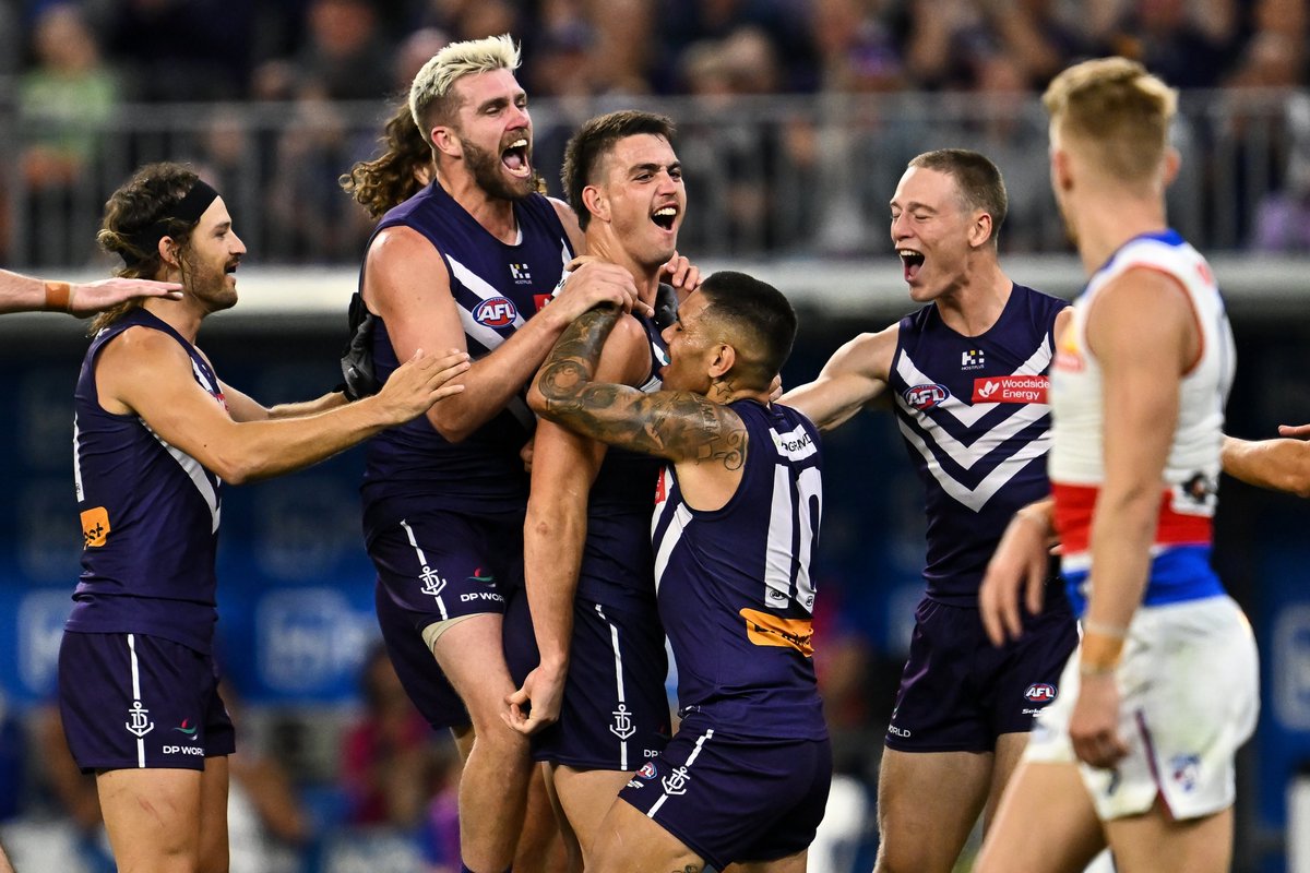 freodockers tweet picture