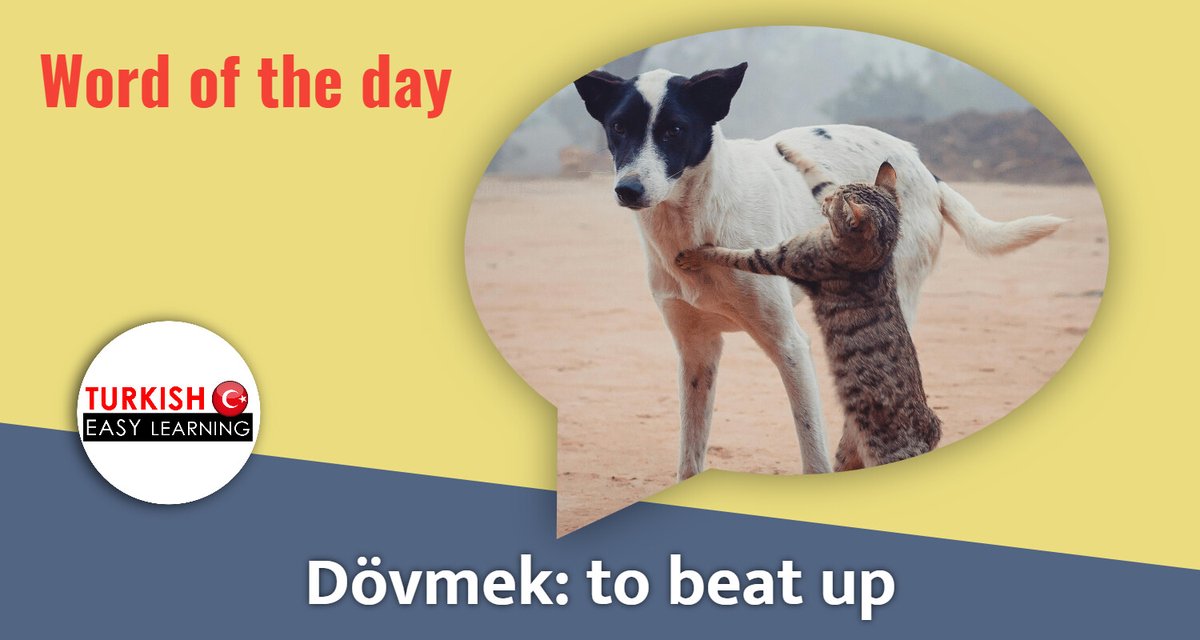 Kedi köpeği dövüyor. (The cat is beating up the dog) .         .                .     #learnturkish #Turkish #LanguageLearning #langtwt