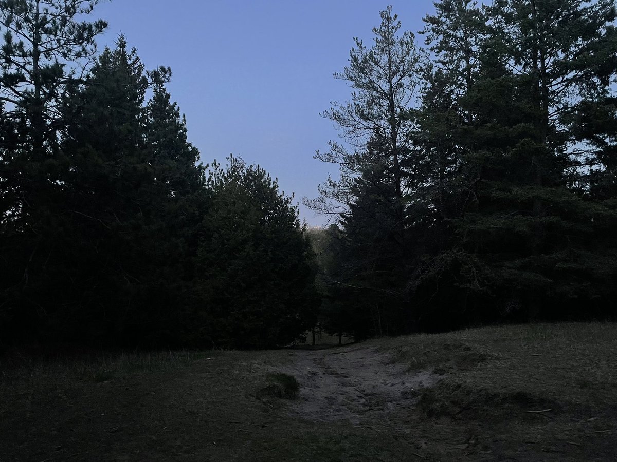 Got in a late evening #trailrun while there was just barely enough twilight left to see.