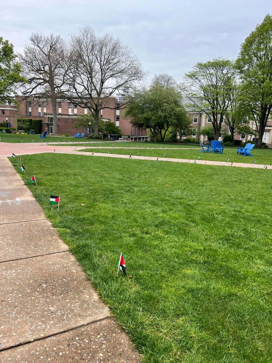 My son is a graduating college senior in college studying for finals. This is unnecessary, but thankful that this is the extent of encampment nonsense on his campus. Free expression, yes; impinging on the rights of others, no.