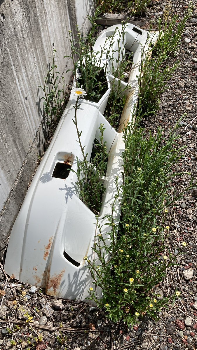 人類が地球上から消えた後の世界の180SX