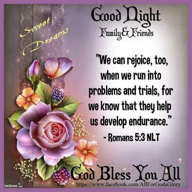 Goodnight all. Pray for peace & the conversion of sinners. Be grateful for the times you struggled. It made you who you are & has helped prepare you for the future. Adversity builds strong character. Have a good evening. God bless, light & love to you all 🙏 🇺🇲 🇮🇪 🇨🇦 🌹 💞