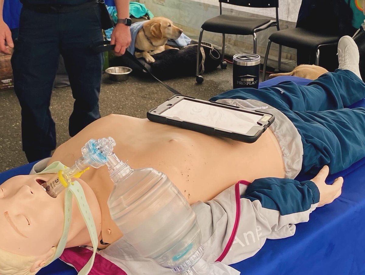 Getting to practice CPR! A potentially life saving skill we encourage everyone to learn! Girls of all ages were enjoying this experience at The Sky’s No Limit- She is Anything event today in Abbotsford BC. #womanparamedic #ehs #Genderdiversity #stemgirls #womeninstem #bcehs