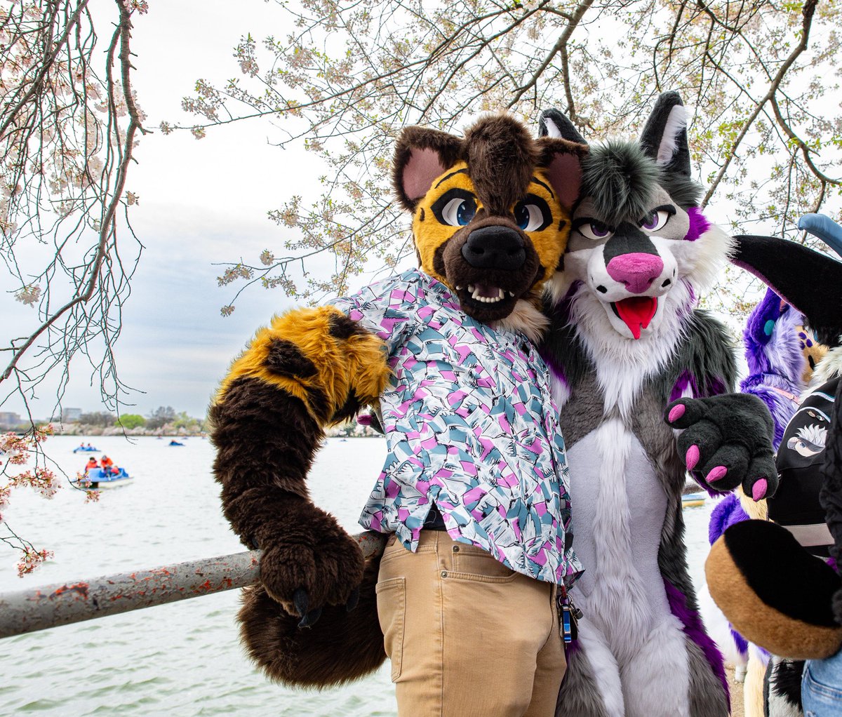 Fusker! (@trickyfusker) on Twitter photo See? Yeens and yotes CAN be friends ^.^. Happy hyena day!
📸@ironyote
🐶<a href="/daz_vega_/">Daz 🐺💜 🔜 AC</a>
🪡<a href="/JhelisticHybrid/">Jhelistic Hybrids 🇲🇾 | taking one comm at a time</a>, <a href="/TwistedLeopard/">✨🐾Twisted Leopard 🐾✨</a> See? Yeens and yotes CAN be friends ^.^. Happy hyena day!
📸@ironyote
🐶<a href="/daz_vega_/">Daz 🐺💜 🔜 AC</a>
🪡<a href="/JhelisticHybrid/">Jhelistic Hybrids 🇲🇾 | taking one comm at a time</a>, <a href="/TwistedLeopard/">✨🐾Twisted Leopard 🐾✨</a>