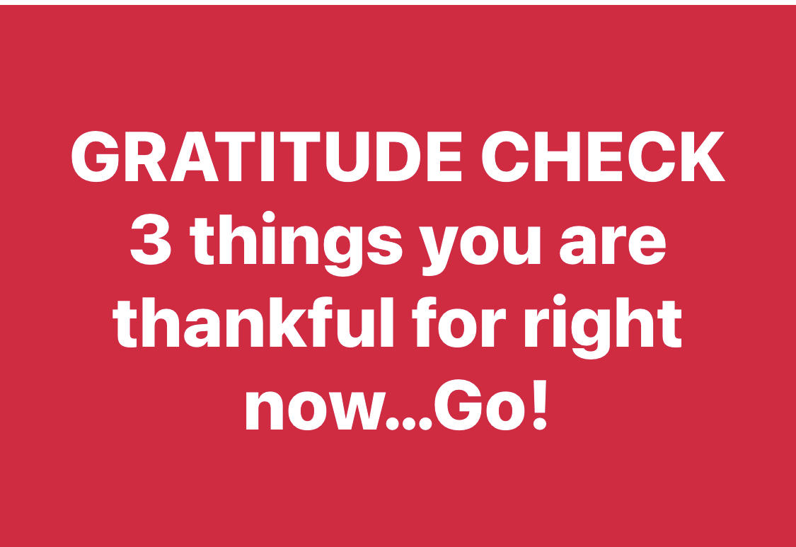 What are yours? (no trump) @AMHotFlash @michelle_spenc @kitchen5203 @TaraTisch @LuLuRoche @Eathbound420 @Wipapa5 @allanjohnsonmn1 @CarlyJA22 @SARA2001NOOR @lmakowski3 @TimLee57 @drwineau @Roseymelhill @LouGarza86 @chefjoelb @AmadorBatten @srh_medco @hilltop__leader @jensdad4biden