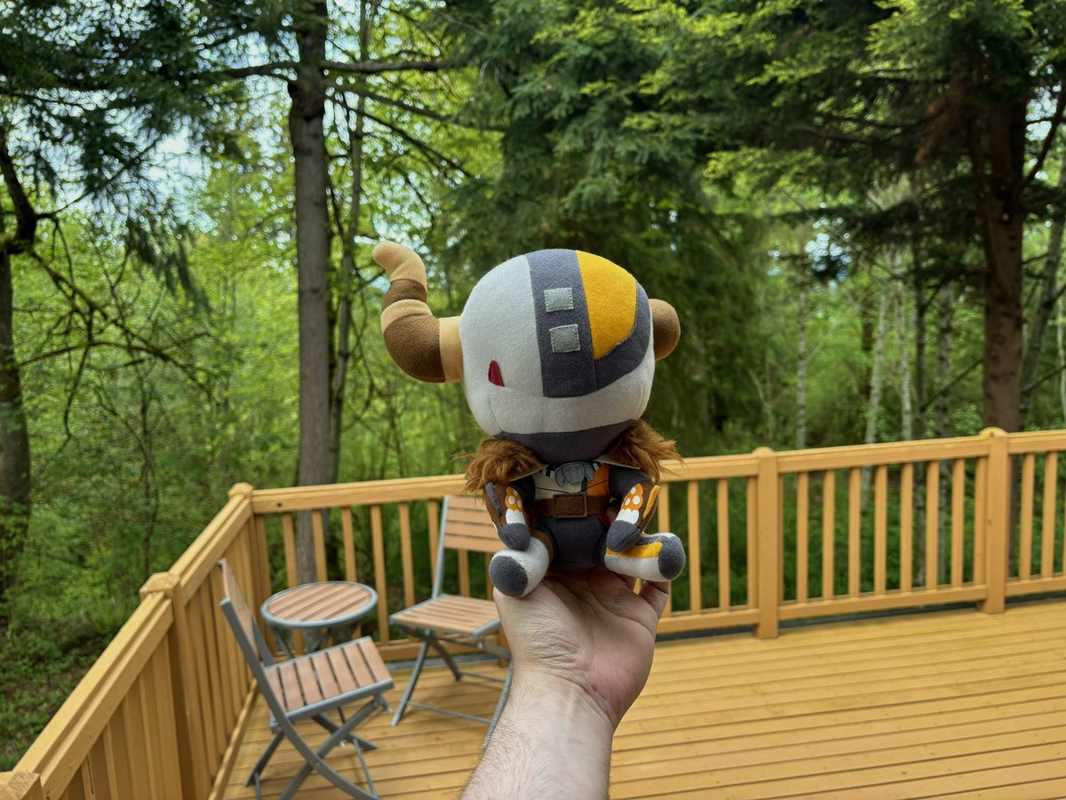 Shaxx approves of the forested view off the back deck of our new house 🌲