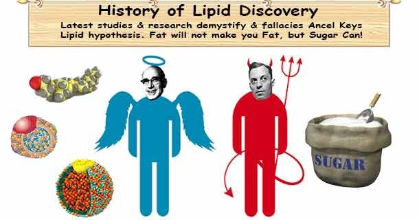 Lipid History buff.ly/3JJ6fmE #Cholesterol #Lipid #LipidHistory #History #Discovery