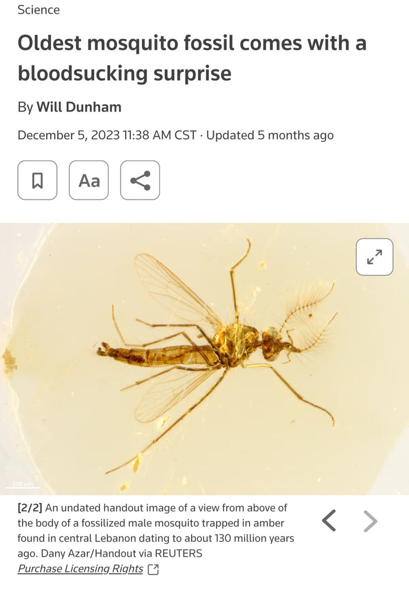 @GastropodGaming @NotEvolution1 Looks like every mosquito I’ve ever seen.

But since a random taxonomist said its new its new…

Usually you need to observe the entire scope of the claim but this one gets special rules.
