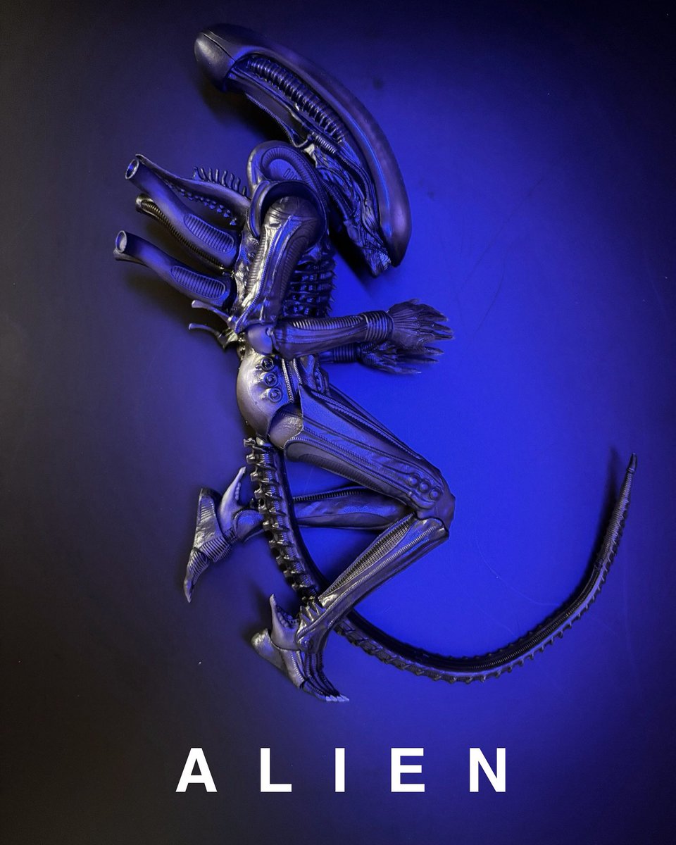 #AlienDay #alien #medicom #mafex #異形 #xenomorph #bigchap