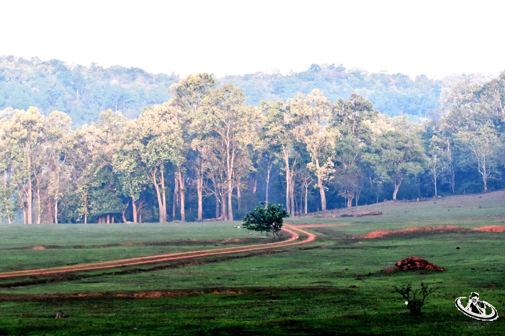 Hues of Nature.....
#Majestic Similipal 
#Beautiful Similipal 
#similipalnationalpark 
#landscape 
#odishabhaskar 
#odishatourism 
April 2024
Similipal Tiger Reserve 🐅
@ForestDeptt @Similipal_South @CMO_Odisha @OdishaTourism @NatGeoTravel @PCCFWL_Odisha