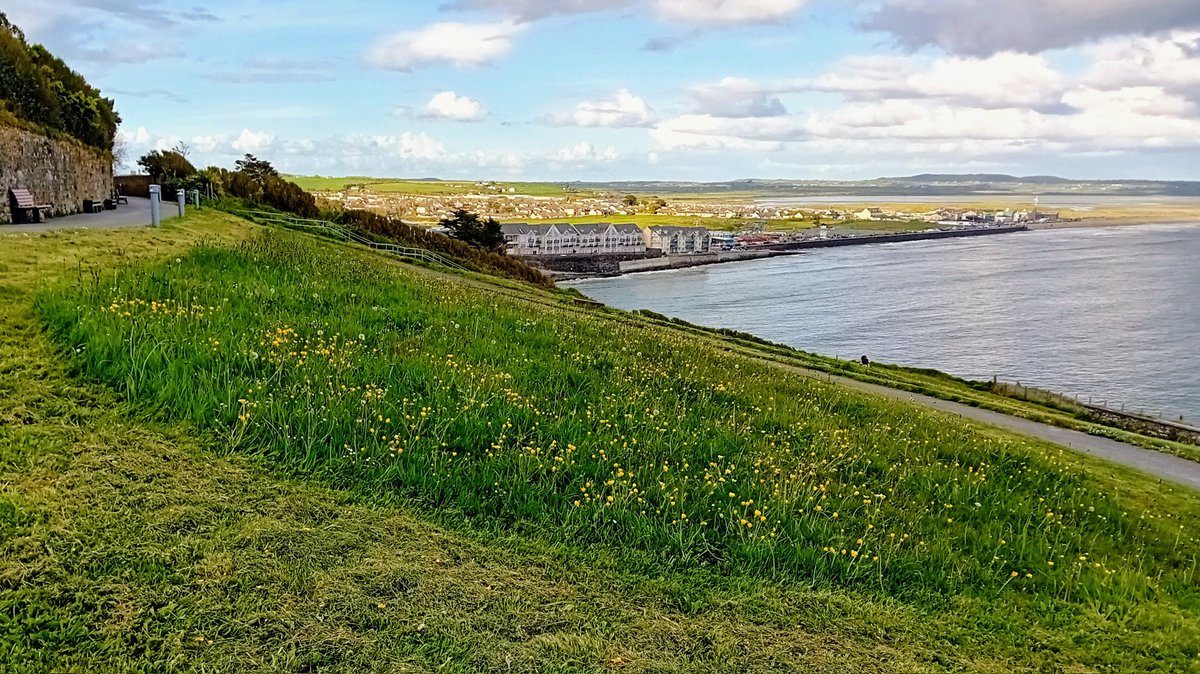 Working with @WaterfordCounci we can have areas for our pollinators and wildlife and also keep areas looking their best.@PollinatorPlan 🌼🐞🌺🦋🪻🐝🌸🐜🌼🐌