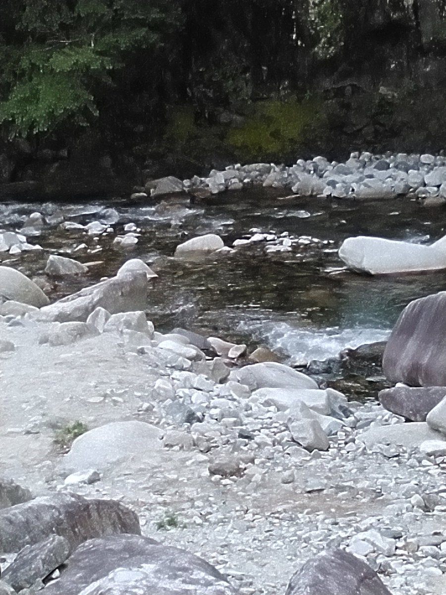 mountbridge7738's tweet photo. ゴールデンウィーク始まりましたね
鯉のぼり泳いでいますよ
川も綺麗だよ⛺⛺🍦🏃🚙
#山北町
#西丹沢
#ファミリーキャンプ
#こどもの日
#鯉のぼり https://t.co/7YYFYNgCb1