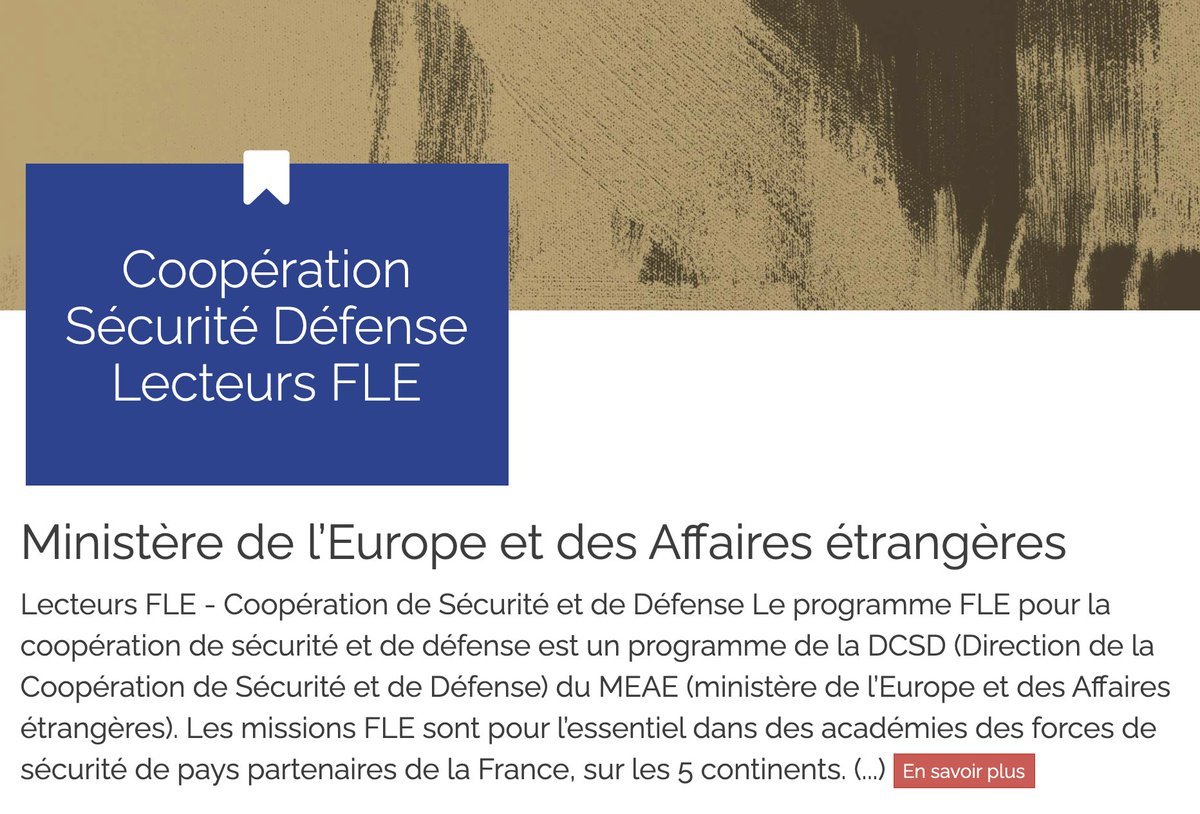 Lecteurs #FLE @CoopSecuDefense NOUVELLES OFFRES EN LIGNE 🇫🇷 fle.fr/Cooperation-Se…