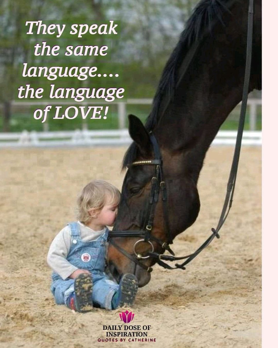 They speak the same language, the language of love. ❤️💚🤎💚❤️

.
#Love #ILoveYou #lovingfamily #Lovingfriends #theWorldNeedsLove #dailydoseofinspiration #quotesbycatherine