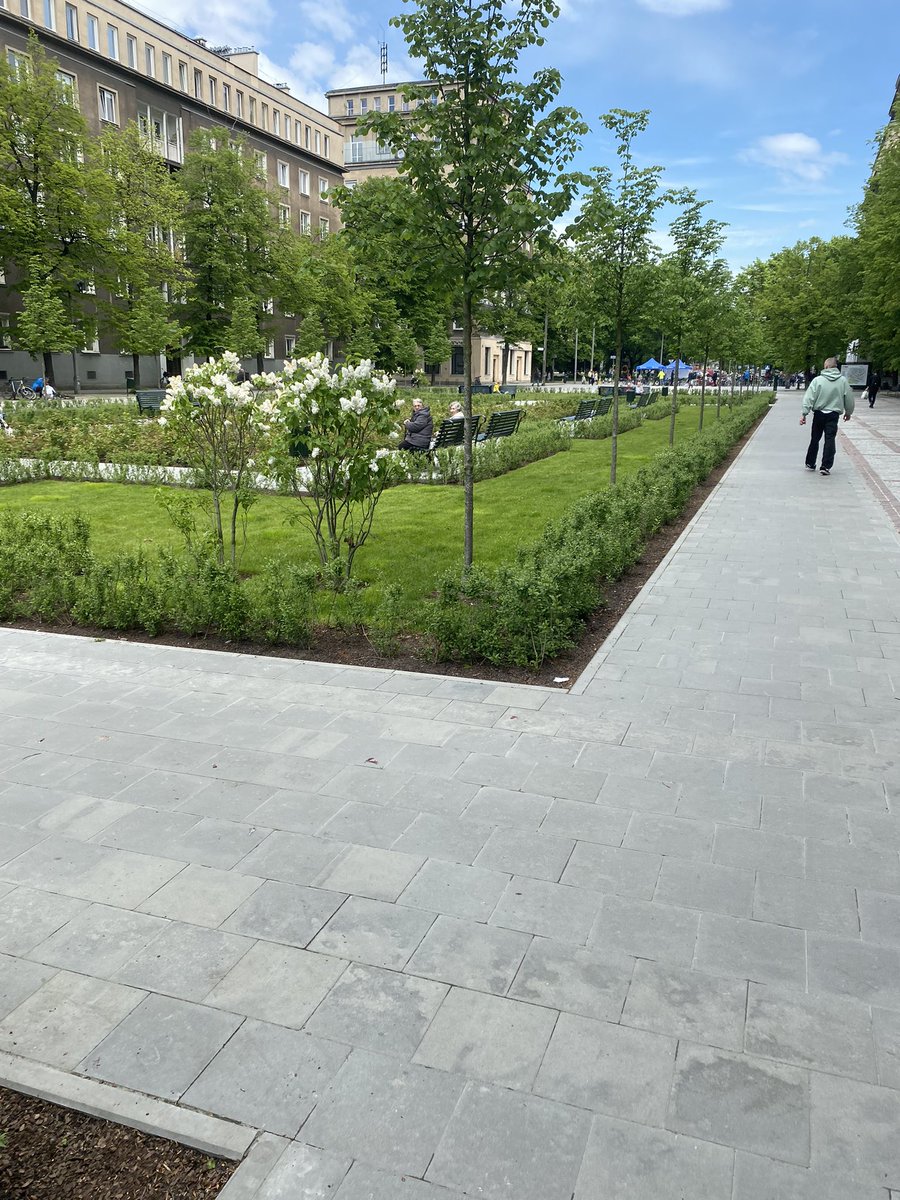 Dr Fergus Timmons tweet media