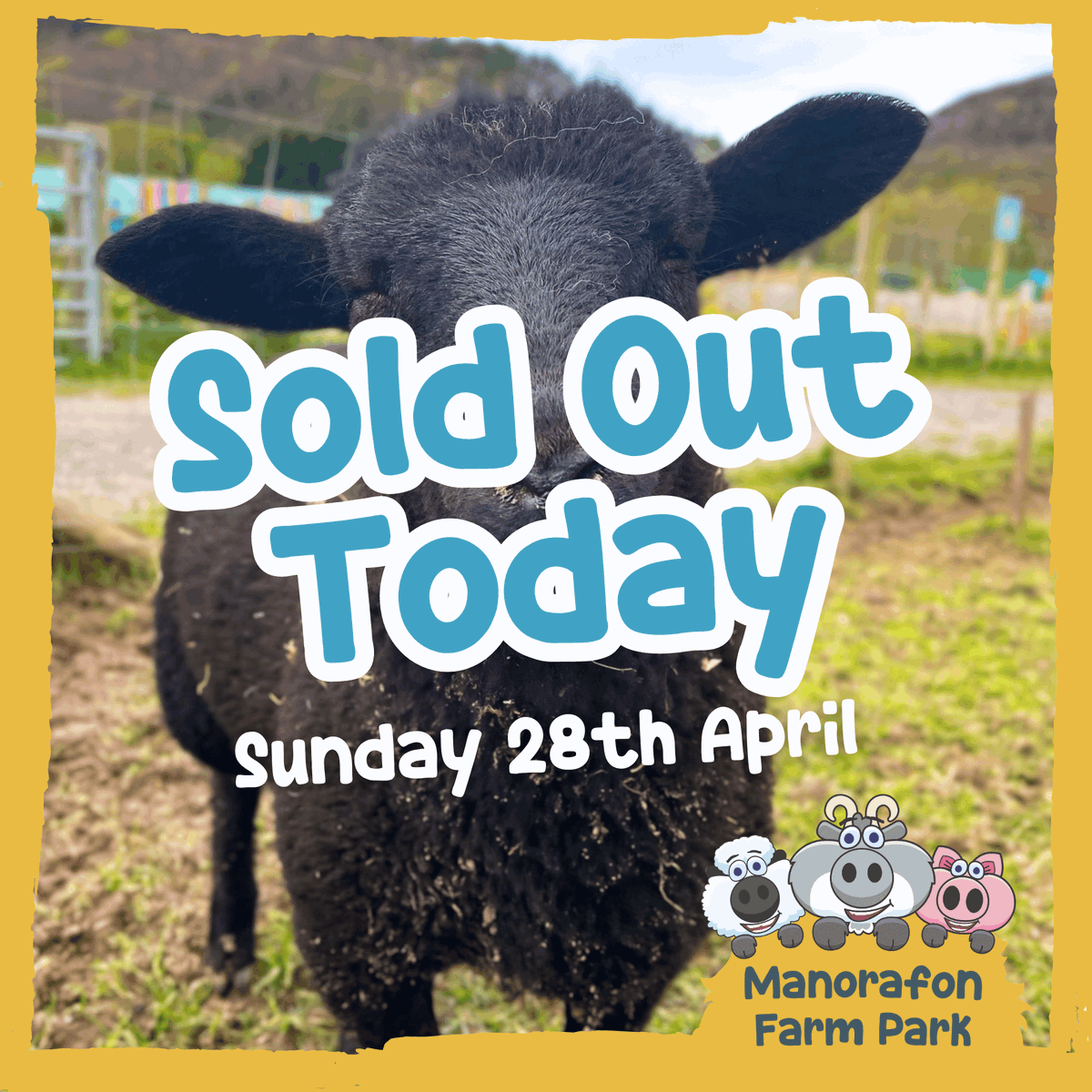 SOLD OUT TODAY! ❌ There will be no on the gate admission this morning as we are fully sold out. If you have prebooked online - we look forward to welcoming you 🌞

⚠️ We may have some space at our 3pm slot - please check on the booking page: bookings.manorafon-farm-park.co.uk/book