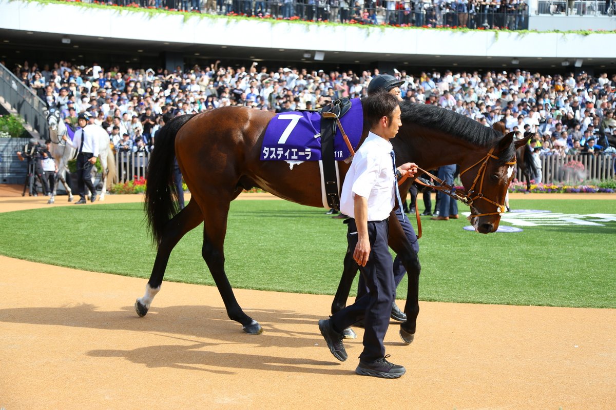 #天皇賞春 のパドックの様子です！🐎
#ドゥレッツァ #テーオーロイヤル #サリエラ #タスティエーラ